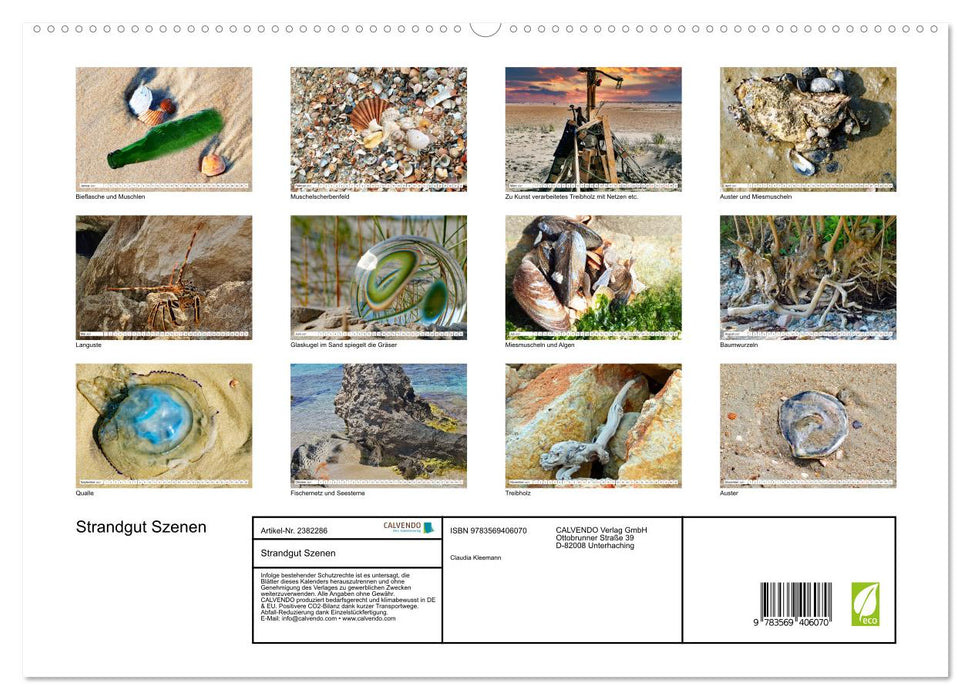 Strandgut Szenen (CALVENDO Premium Wandkalender 2027)