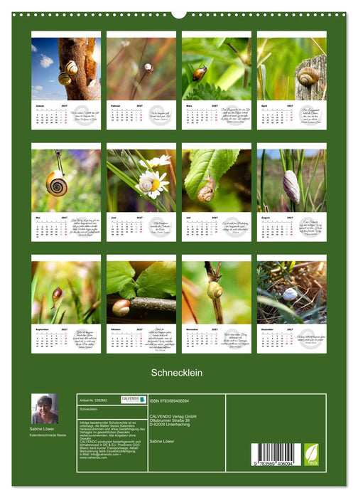 Schnecklein (CALVENDO Premium Wandkalender 2027)