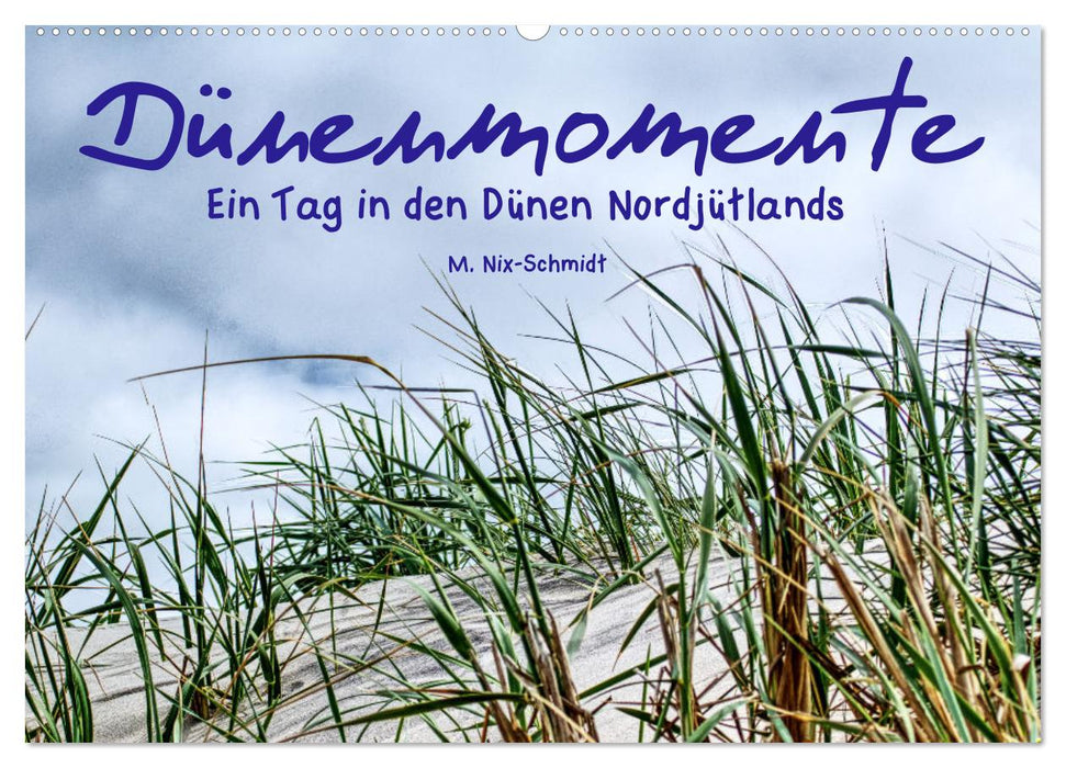 Dünenmomente - Ein Tag in den Dünen Nordjütlands (CALVENDO Wandkalender 2027)