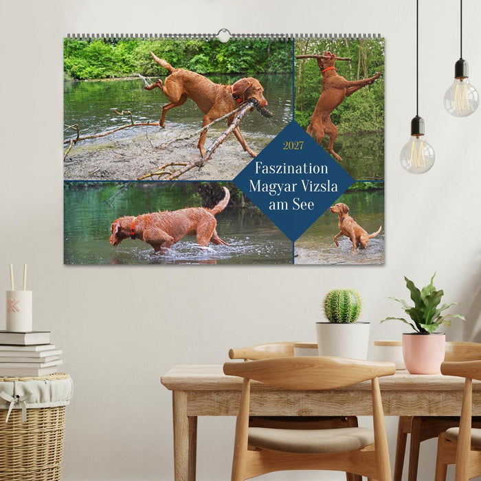 Faszination Magyar Vizsla am See (CALVENDO Wandkalender 2027)
