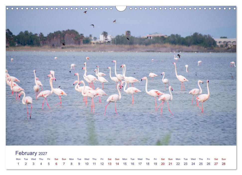 Kos Island - The Island of Hippocrates (CALVENDO Monthly Calendar 2027)