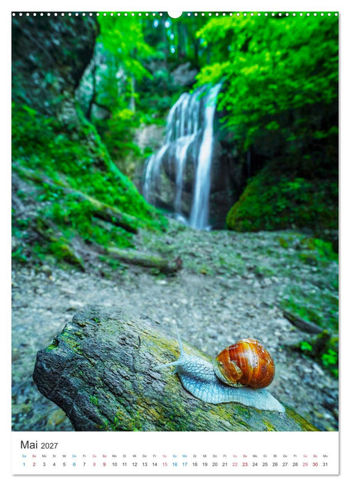 Allgäuer Wasserfälle (CALVENDO Premium Wandkalender 2027)