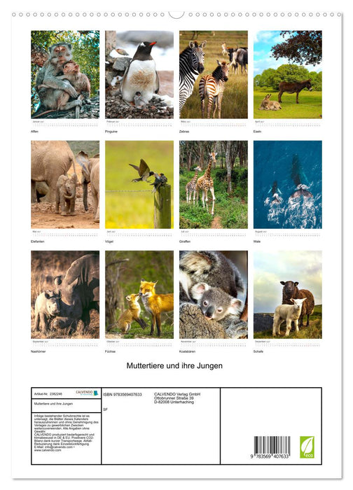 Muttertiere und ihre Jungen (CALVENDO Premium Wandkalender 2027)