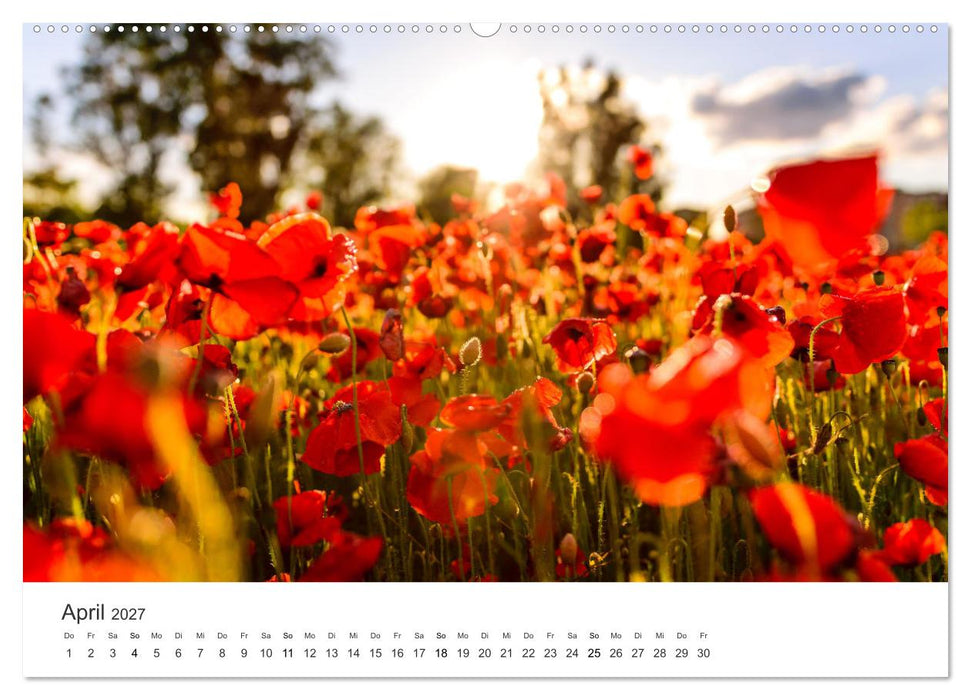 Spanien - ein Land zum Verlieben. (CALVENDO Wandkalender 2027)