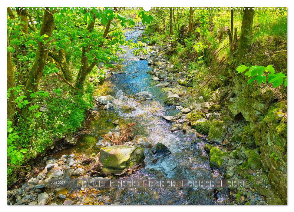 Faszination Thüringer Wald (CALVENDO Premium Wandkalender 2027)