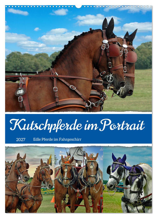 Kutschpferde im Portait (CALVENDO Wandkalender 2027)