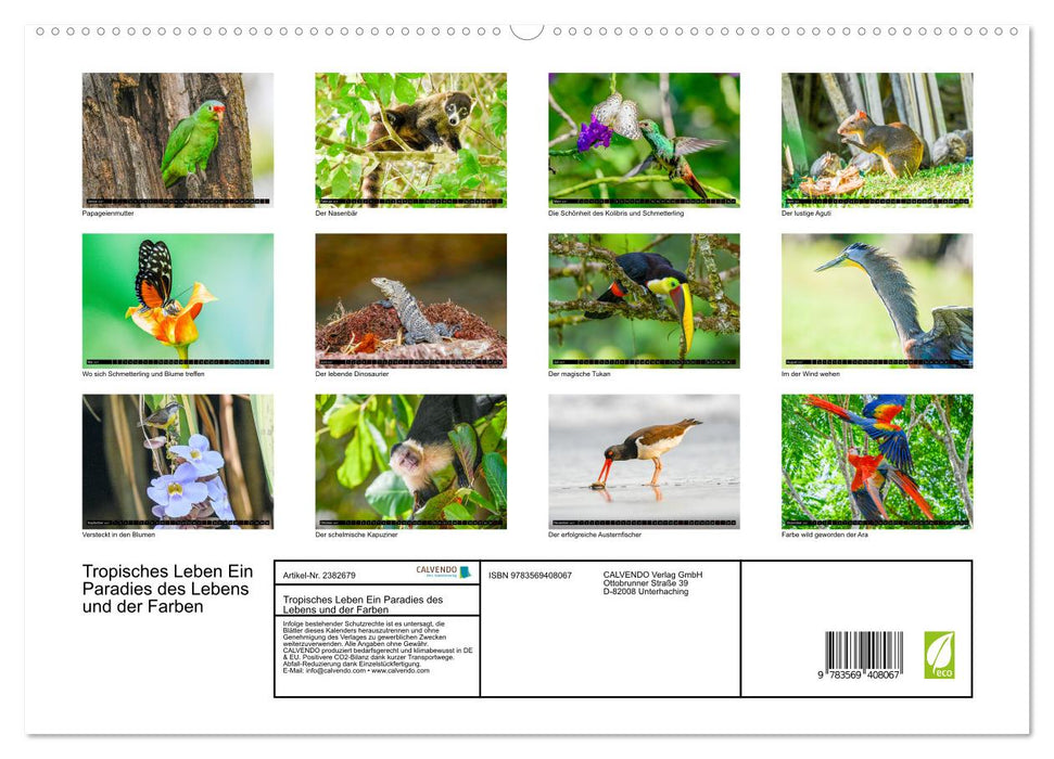 Tropisches Leben Ein Paradies des Lebens und der Farben (CALVENDO Premium Wandkalender 2027)