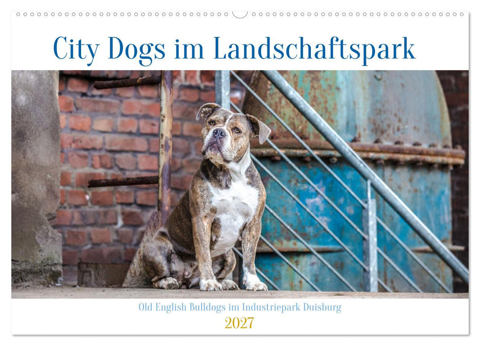 City Dogs im Landschaftspark (CALVENDO Wandkalender 2027)