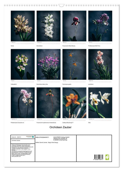 Orchideen Zauber (CALVENDO Wandkalender 2027)