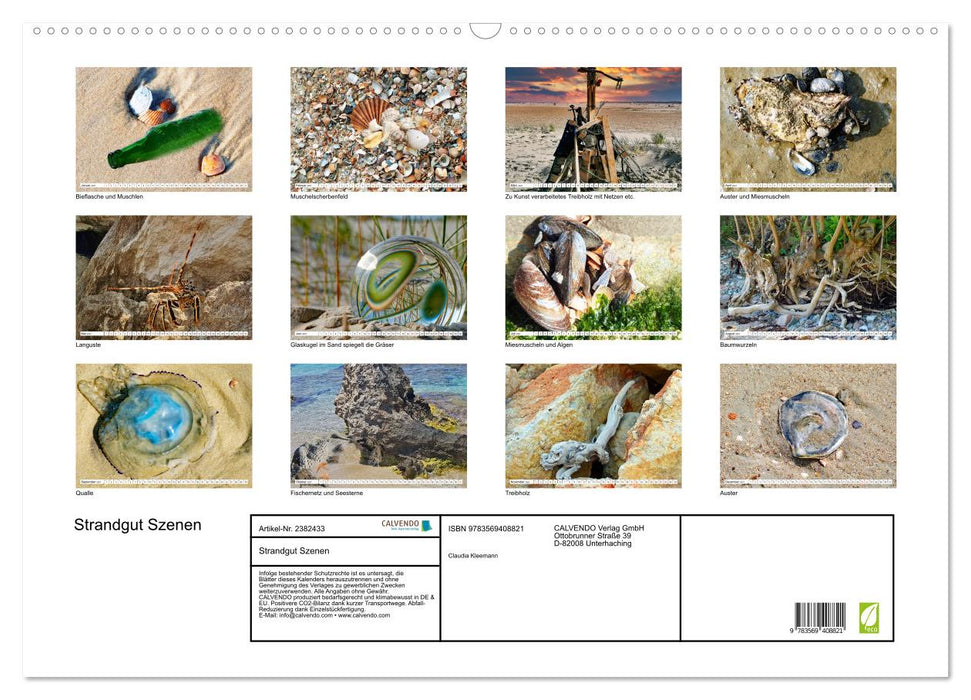 Strandgut Szenen (CALVENDO Wandkalender 2027)