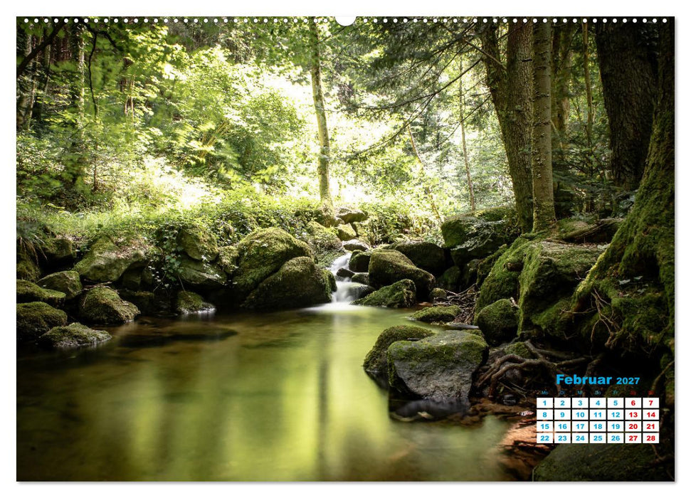 Wasserfall im Bühlertal (CALVENDO Wandkalender 2027)