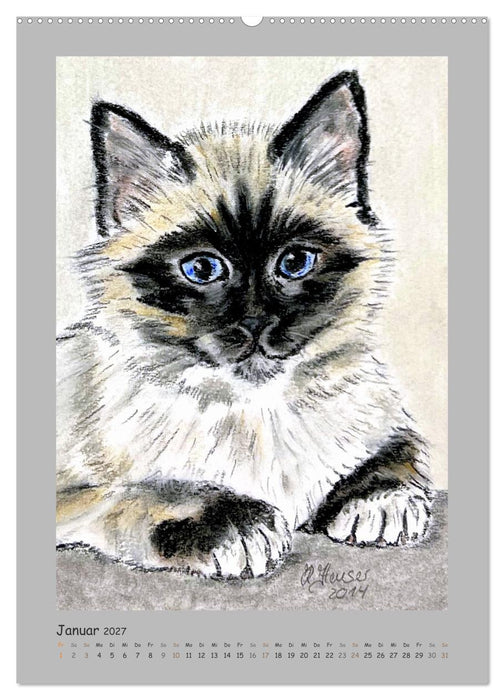 PortraiTierART Samtpfötchen (CALVENDO Wandkalender 2027)