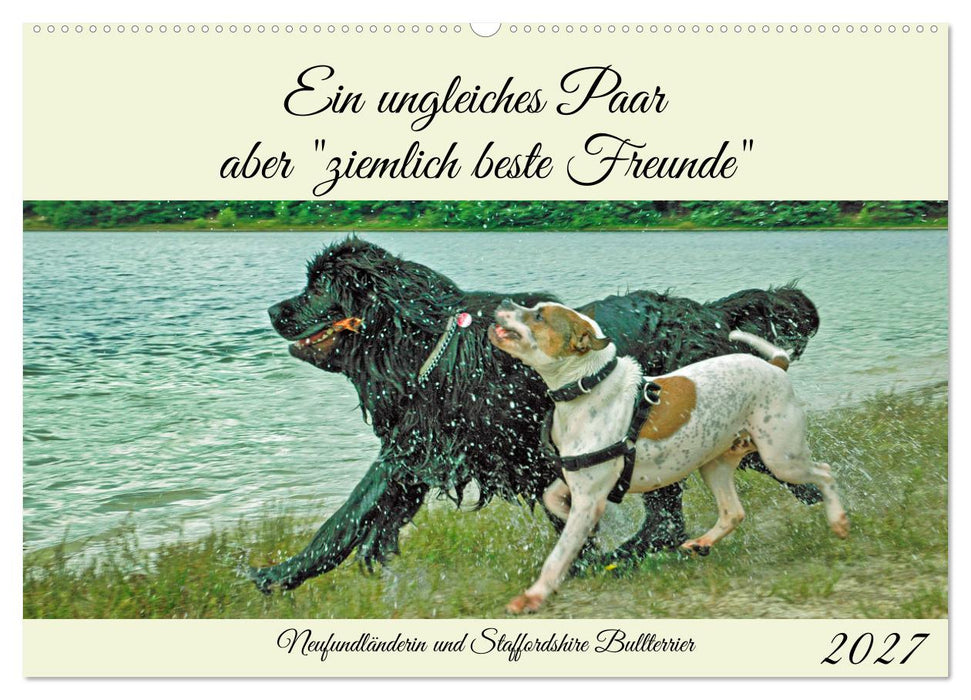 Ein ungleiches Paar aber "ziemlich beste Freunde" (CALVENDO Wandkalender 2027)