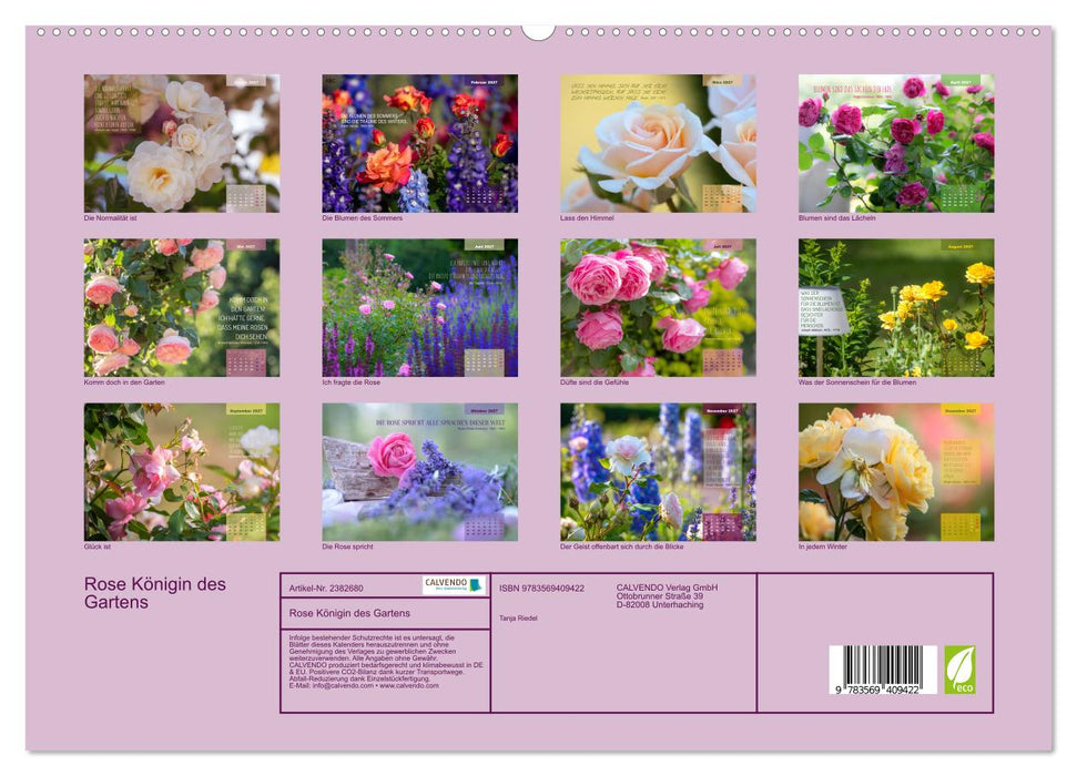 Rose Königin des Gartens (CALVENDO Premium Wandkalender 2027)