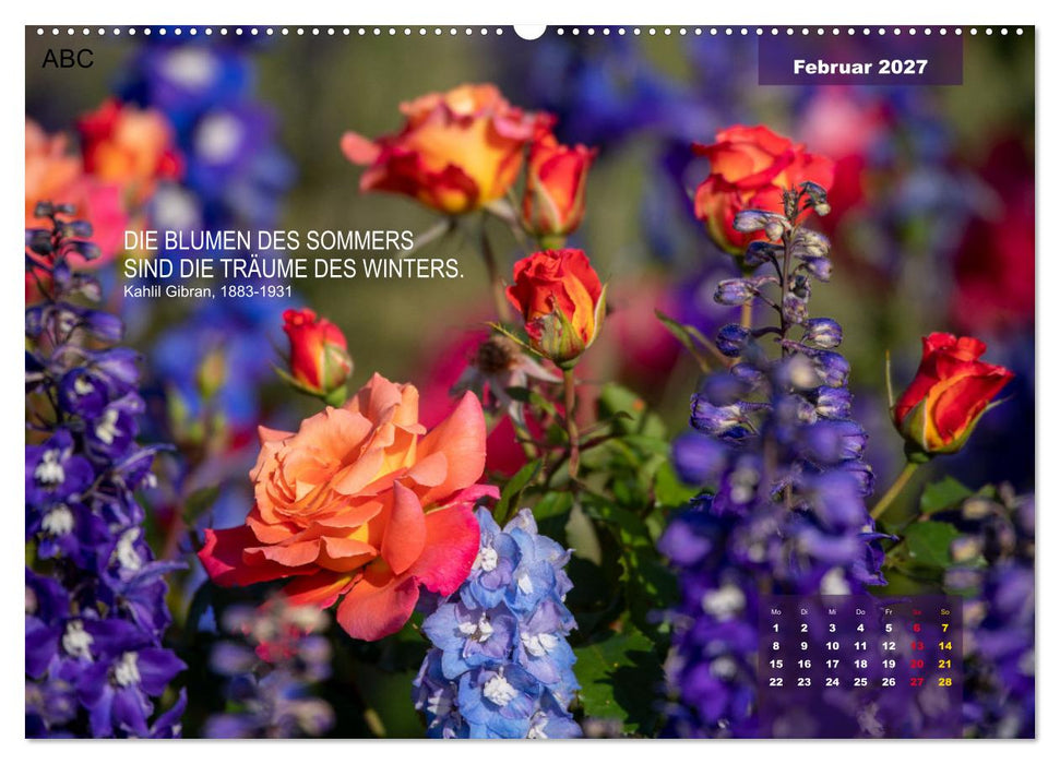 Rose Königin des Gartens (CALVENDO Premium Wandkalender 2027)