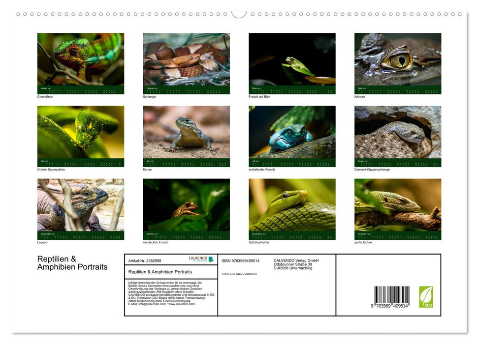 Reptilien & Amphibien Portraits (CALVENDO Premium Wandkalender 2027)