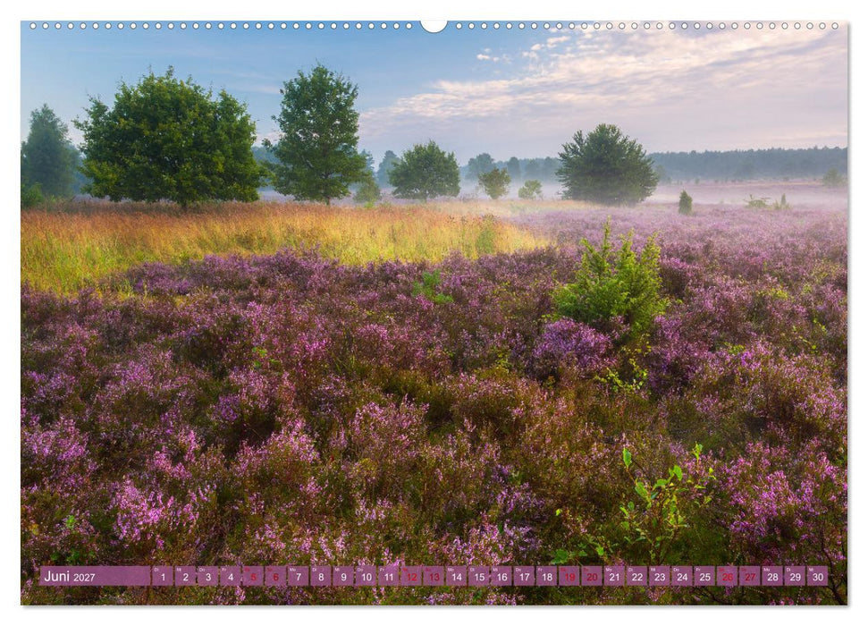 Romantische Heideblüte (CALVENDO Premium Wandkalender 2027)