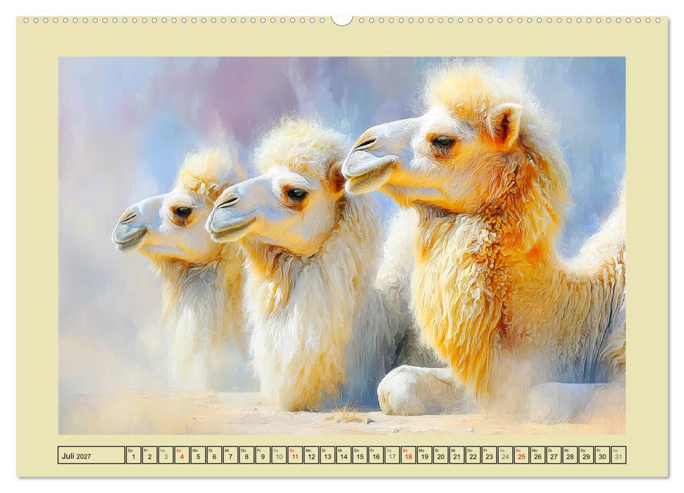 Kamele. Trampeltiere in der Mongolei (CALVENDO Premium Wandkalender 2027)