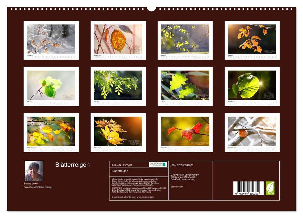 Blätterreigen (CALVENDO Premium Wandkalender 2027)
