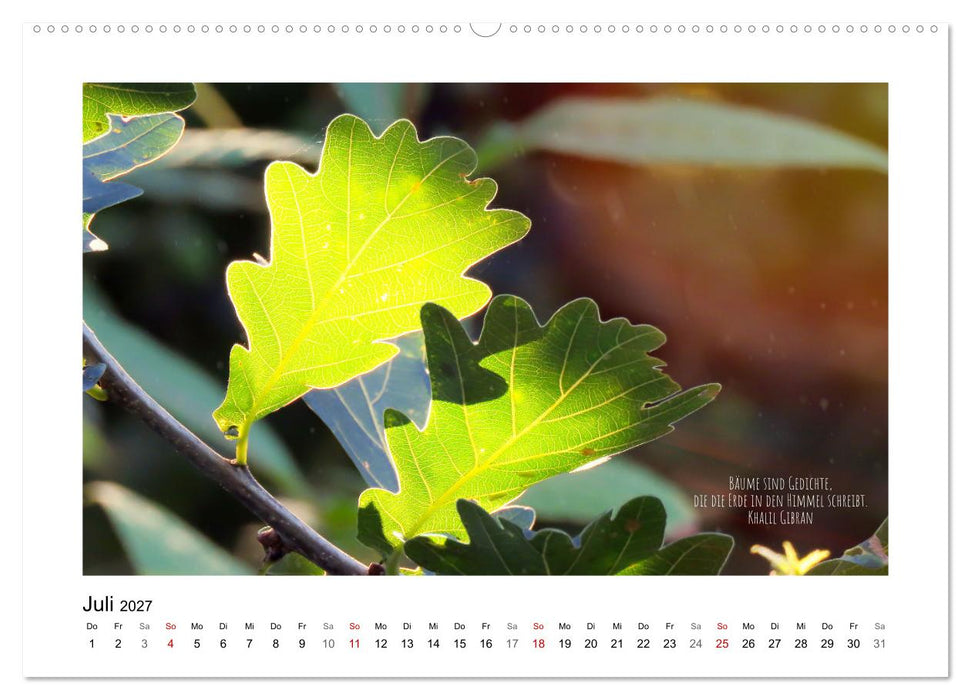 Blätterreigen (CALVENDO Premium Wandkalender 2027)