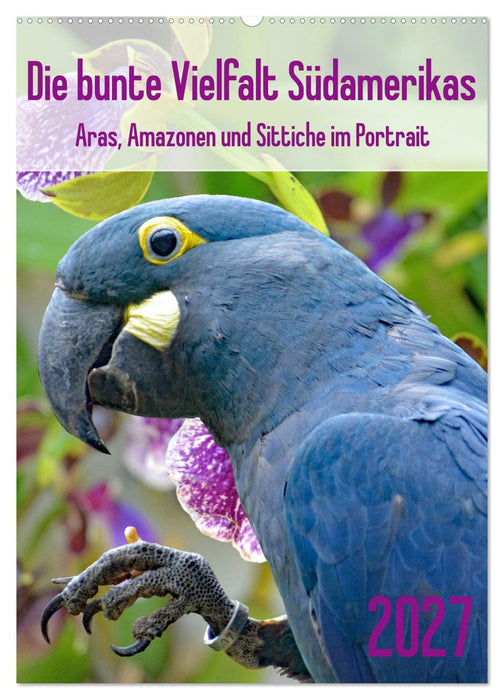 Die bunte Vielfalt Südamerikas - Aras, Amazonen und Sittiche im Portrait (CALVENDO Wandkalender 2027)