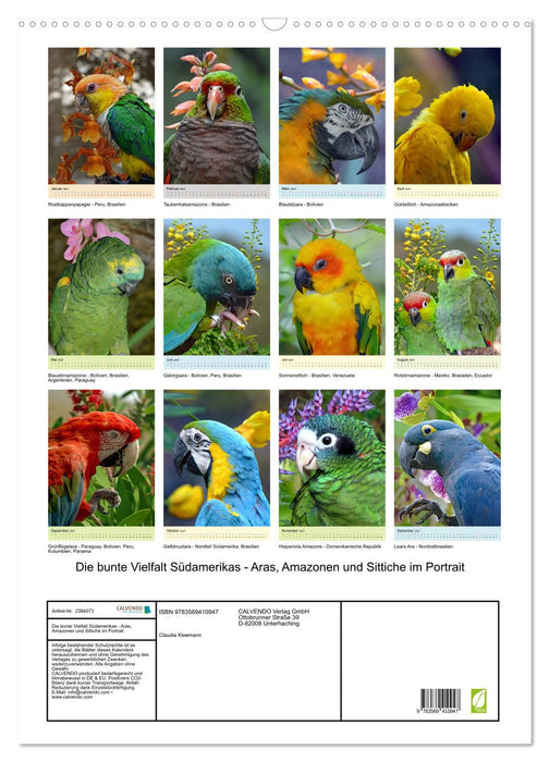 Die bunte Vielfalt Südamerikas - Aras, Amazonen und Sittiche im Portrait (CALVENDO Wandkalender 2027)