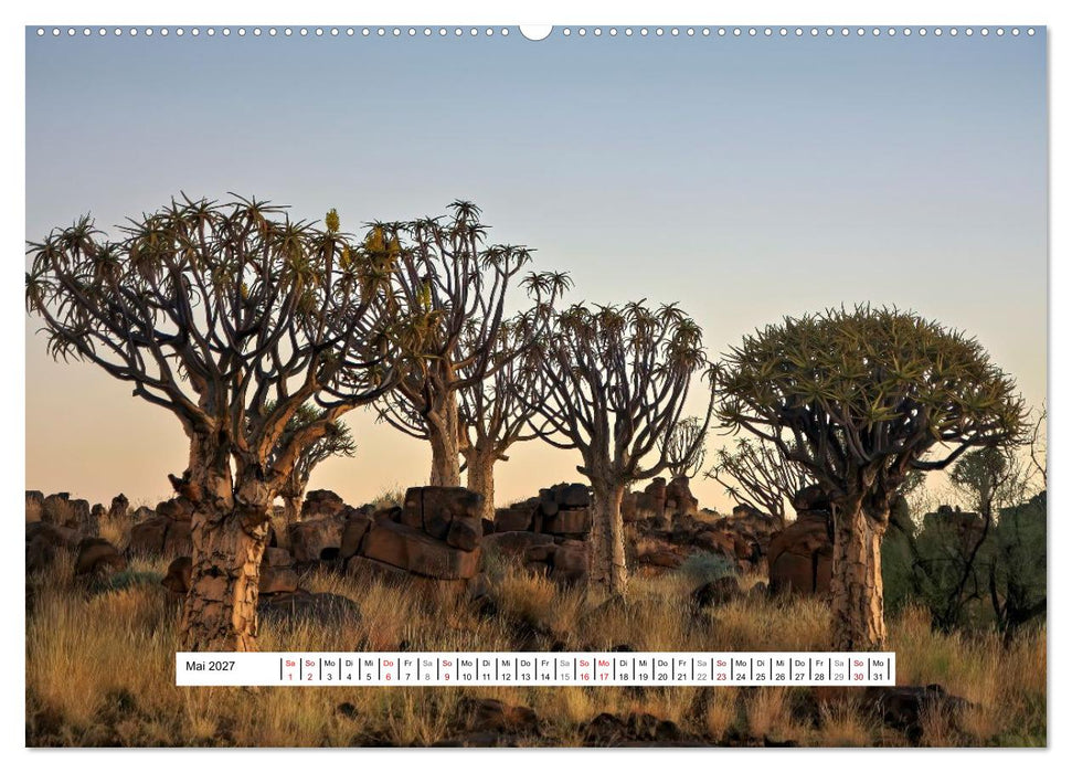 Namibia - Wilde Schönheit Afrikas (CALVENDO Wandkalender 2027)