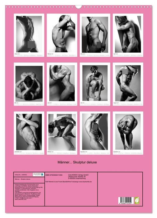 Männer... Skulptur deluxe (CALVENDO Wandkalender 2027)