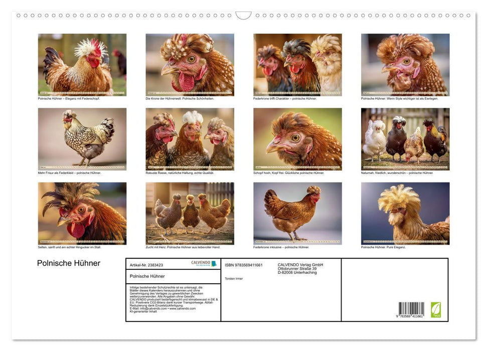 Polnische Hühner (CALVENDO Wandkalender 2027)