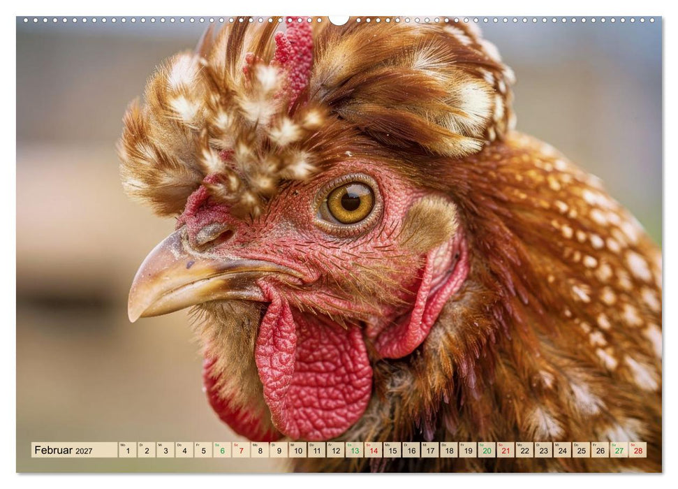 Polnische Hühner (CALVENDO Wandkalender 2027)