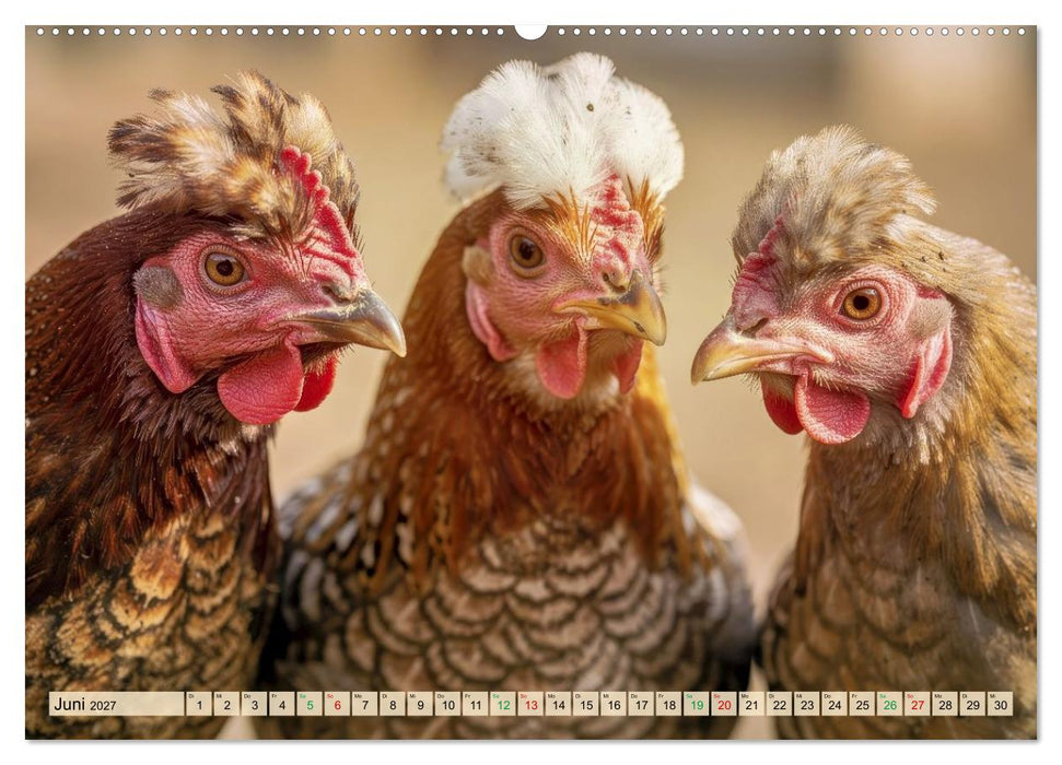Polnische Hühner (CALVENDO Wandkalender 2027)