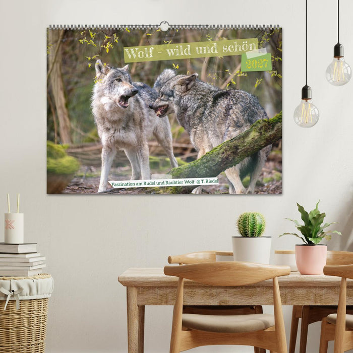 Wolf - wild und schön (CALVENDO Wandkalender 2027)