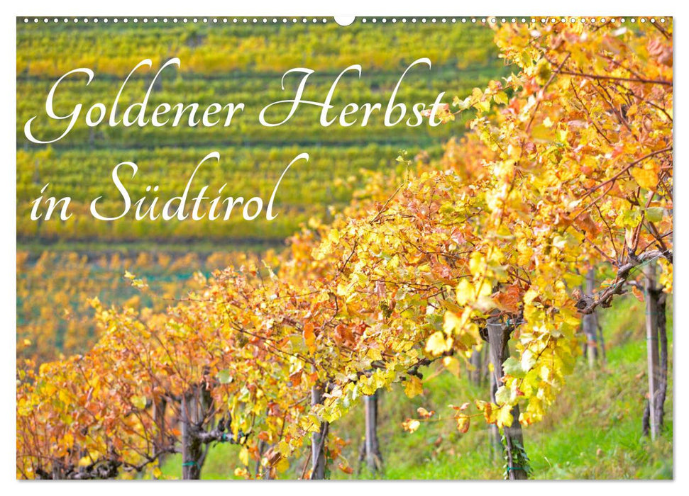 Goldener Herbst in Südtirol (CALVENDO Wandkalender 2027)