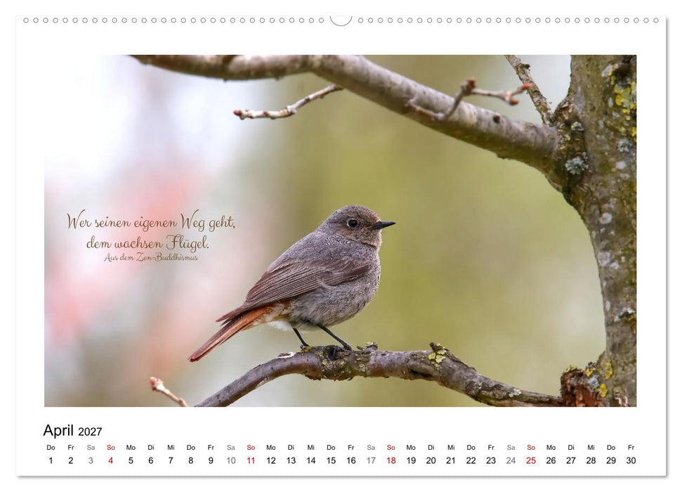 Vögel und geflügelte Worte (CALVENDO Wandkalender 2027)