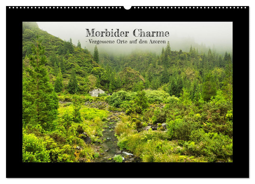 Morbider Charme - Vergessene Orte auf den Azoren - (CALVENDO Wandkalender 2027)