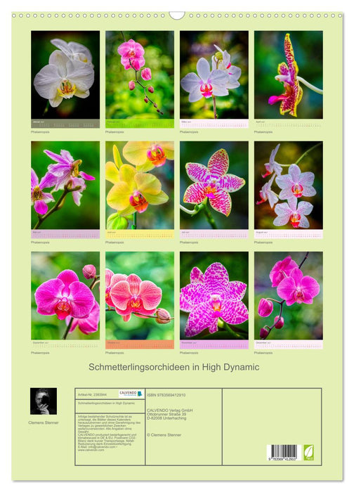 Schmetterlingsorchideen in High Dynamic (CALVENDO Wandkalender 2027)