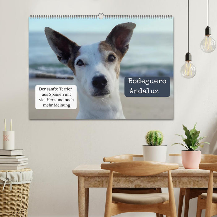Ratonero Bodeguero Andaluz (CALVENDO Wandkalender 2027)
