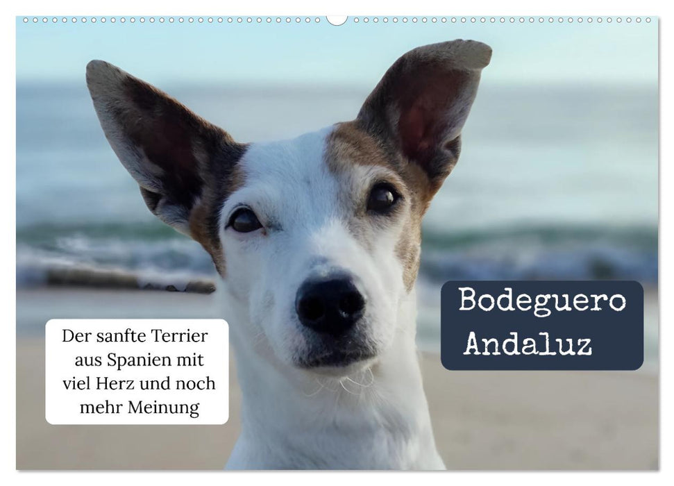 Ratonero Bodeguero Andaluz (CALVENDO Wandkalender 2027)