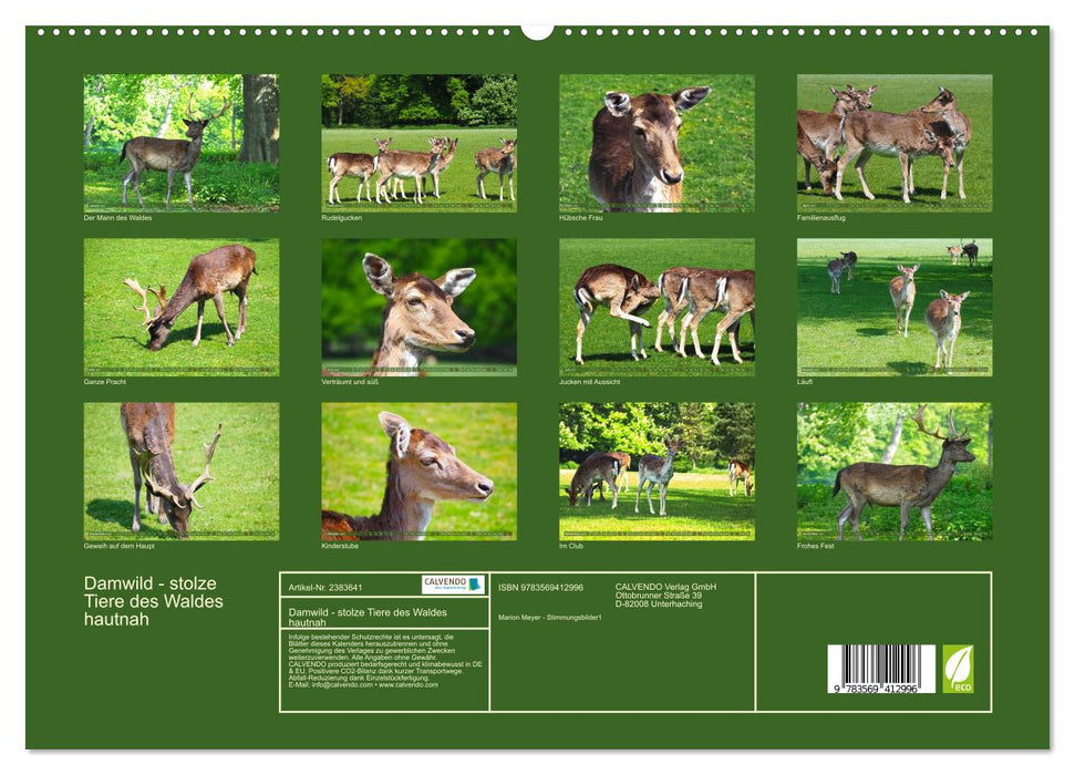 Damwild - stolze Tiere des Waldes hautnah (CALVENDO Premium Wandkalender 2027)