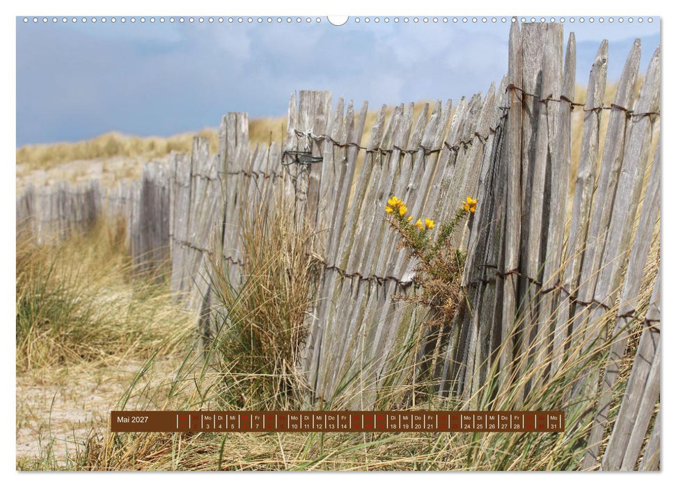 Ein Tag am Meer - Impressionen von der Insel Sylt (CALVENDO Wandkalender 2027)