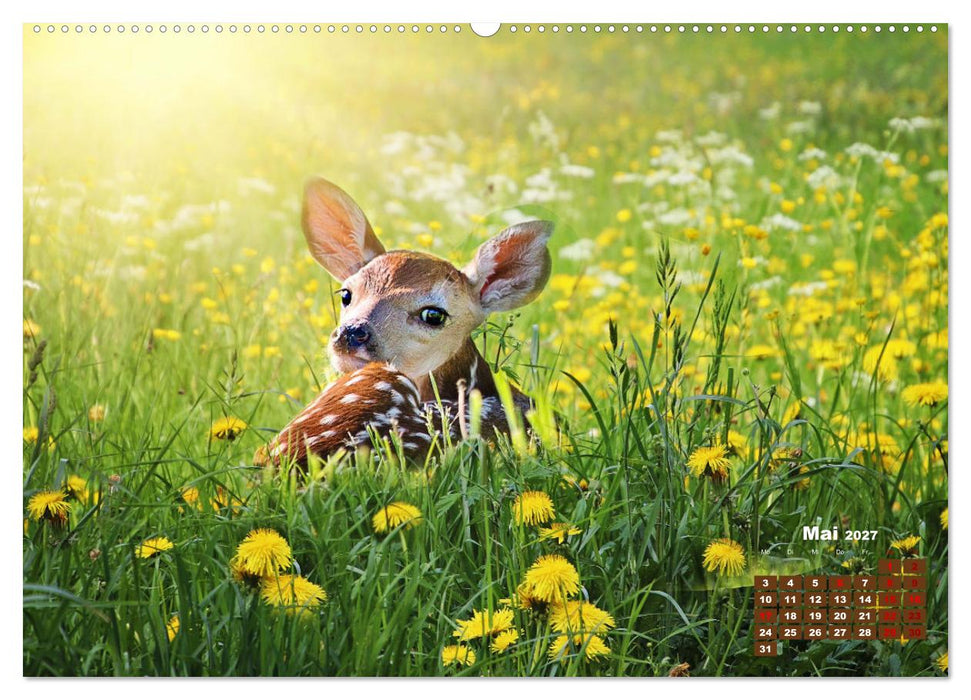 Tiere in freier Wildbahn by VogtArt (CALVENDO Wandkalender 2027)
