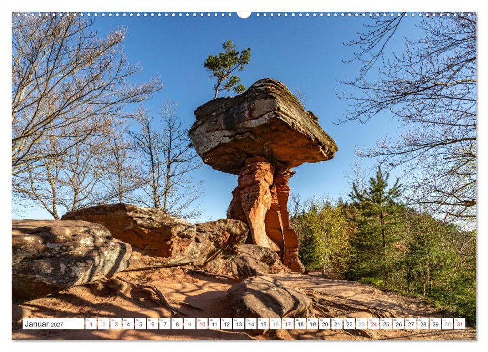 Die deutschen Bundesländer - Rheinland-Pfalz (CALVENDO Wandkalender 2027)