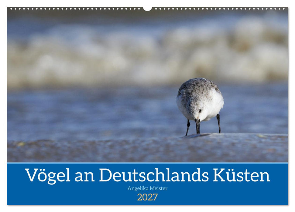 Vögel an Deutschlands Küsten (CALVENDO Wandkalender 2027)