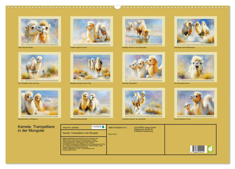 Kamele. Trampeltiere in der Mongolei (CALVENDO Wandkalender 2027)
