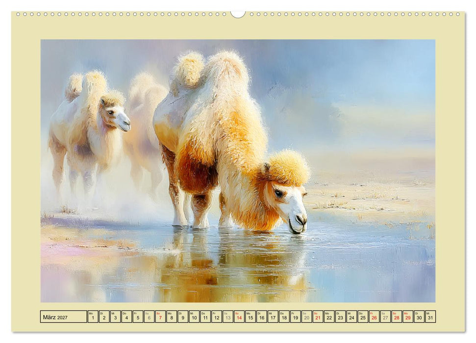 Kamele. Trampeltiere in der Mongolei (CALVENDO Wandkalender 2027)