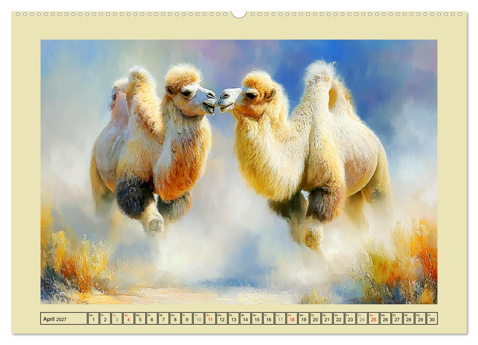 Kamele. Trampeltiere in der Mongolei (CALVENDO Wandkalender 2027)