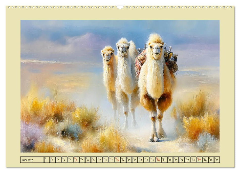 Kamele. Trampeltiere in der Mongolei (CALVENDO Wandkalender 2027)