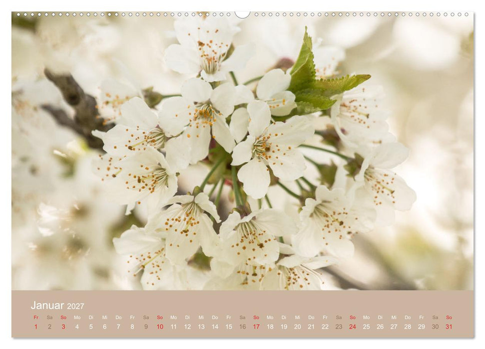 Fantastischer Frühling (CALVENDO Wandkalender 2027)