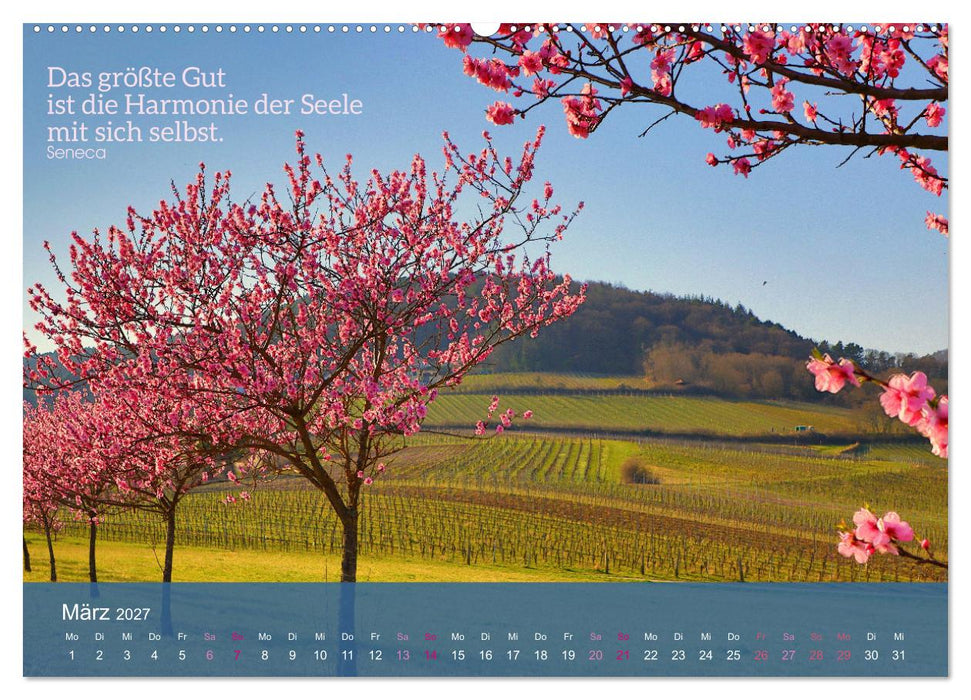 FASZINATION MANDELBLÜTE (CALVENDO Premium Wandkalender 2027)