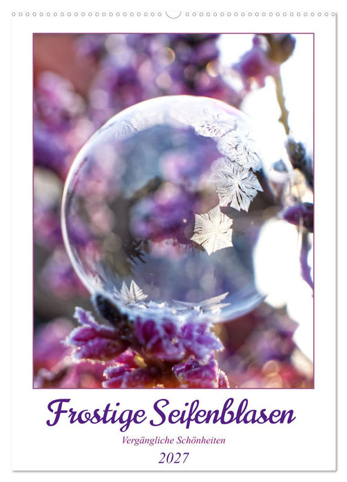 Frostige Seifenblasen (CALVENDO Wandkalender 2027)